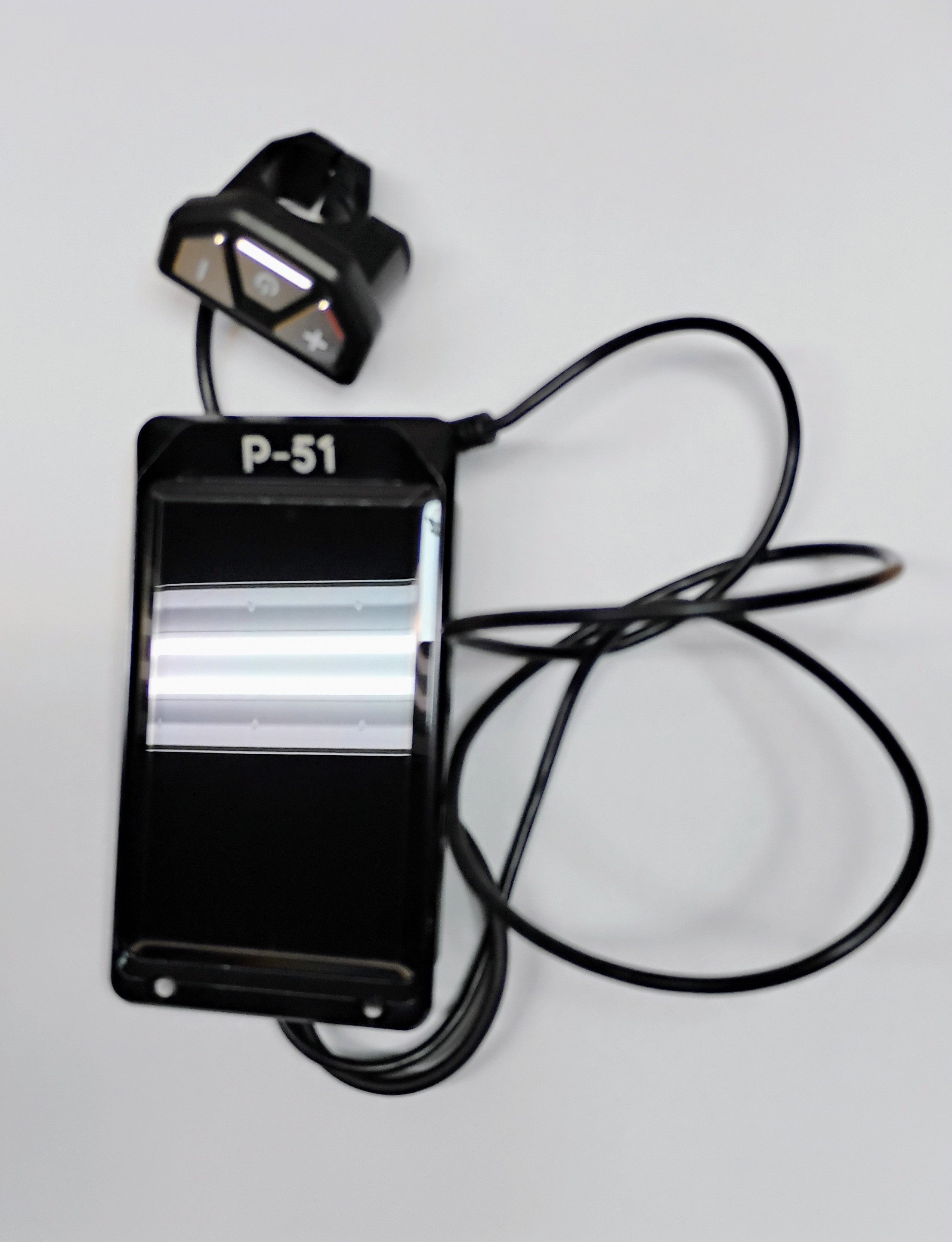 P-51 Electric Bike - ACE Display