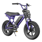 Macfox E-bike M16