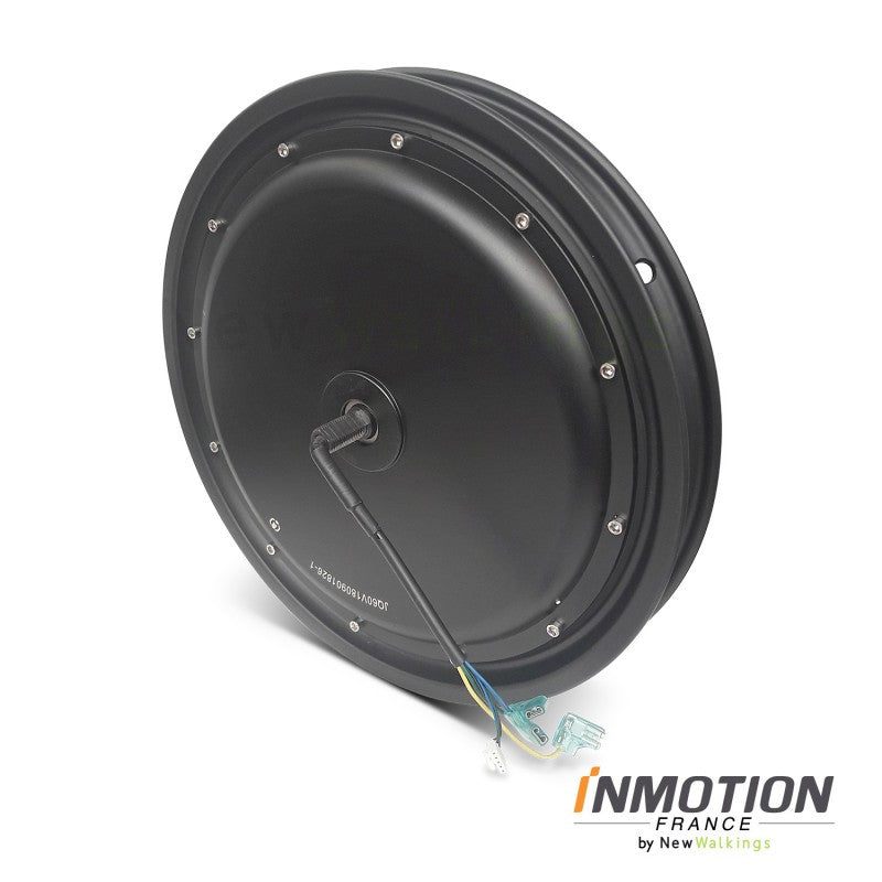 InMotion V8 Electric Motor