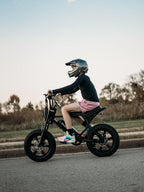 Macfox E-bike M16
