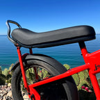 JackRabbit Sissy Bar Kit for MG Doble