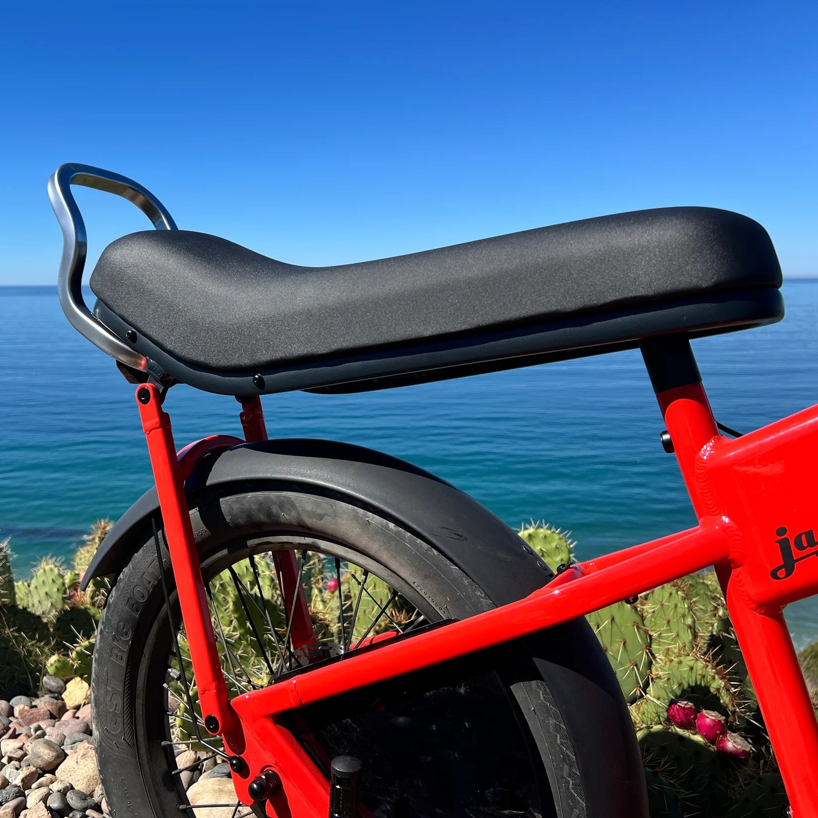 JackRabbit Sissy Bar Kit for MG Doble