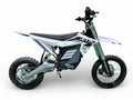 Electro & Co. RTR Sport Bike