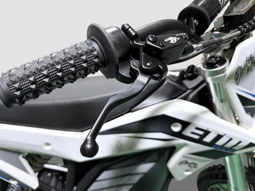 Electro & Co. RTR Sport Bike