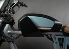 Blur Boundaries S2 & RX Battery Guard