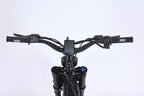 GhostCat F4X - GhostCat Bikes