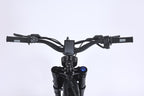 GhostCat F4X - GhostCat Bikes