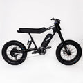 P-51 Electric Bikes - Ace