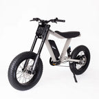 P-51 Electric Bikes - Ace