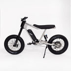 P-51 Electric Bikes - Ace