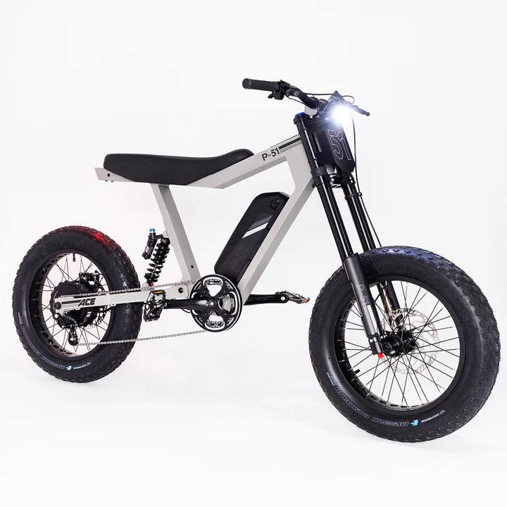 enduro electric bicycle P-51 Electric Bikes