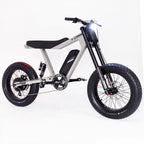 P-51 Ace electric bike in Desert Silver on white