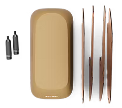 Segway eBike MUXI Passenger Kit