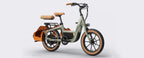 Segway eBike MUXI Passenger Kit