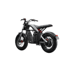 Xyber Electric Bike - Segway